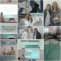 35963473_10216408181097797_8155019842760474624_n (1).jpg