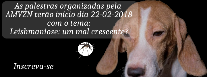 Palestra dia 22 de Fevereiro